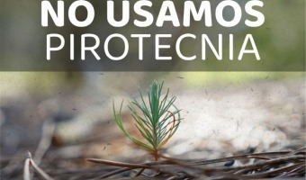 EN VILLA GESELL LE DECIMOS NO A LA PIROTECNIA